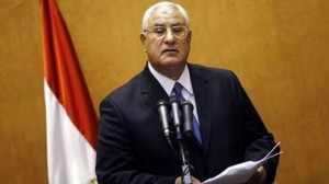 الرئيس الانتقالي المصري عدلي منصور 