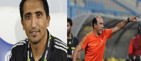 "الكوكي" أو "السليمي" لمساعدة "كرول"