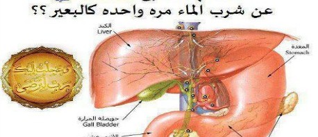 الحكمة من شرب الماء على ثلاثة مرات عند المسلمين