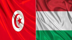 علاقات التعاون بين تونس و تلمجر