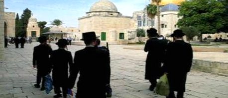 مستوطنون يهود وحاخامات يقتحمون المسجد الأقصى ويعتقلون 12 فلسطينيا