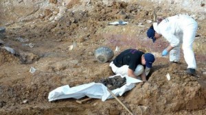 اكتشاف مقبرة جماعية للمسلمين بالبوسنة