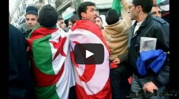 الأشقاء الجزائريين يتفاعلون مع مبادرة "بلادي المزيانة" + (فيديو)