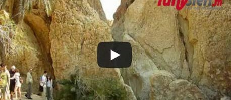 مبادرة بلادي المزيانة  (12) : جوهرة الصحراء توزر +(فيديو)