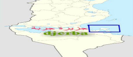 الوكالة الوطنية للتصرف في النفايات تقدم برنامجا لحل مشكل التلوث في قلالة بجربة