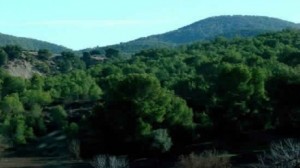 جبل الحمامات