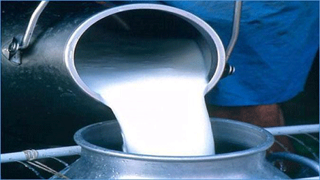 تصدير الحليب