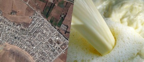  حجز آلاف اللترات من الحليب مخلوطة بالـ "أومو" في منوبة