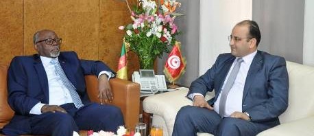 إنشاء خط جوي مباشر بين تونس والكاميرون قبل موفى 2016 
