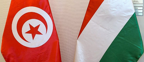تونس المجر