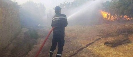 الكاف: اندلاع حريق بجبل مهرية من معتمدية نبر