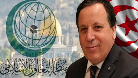 وزير الخارجية يمثل رئيس الجمهورية في القمة الإسلامية الطارئة بإسطنبول