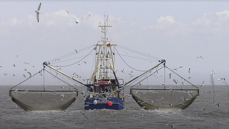 التمديد في آجال قبول مطالب تركيز الأجهزة الطرفية على متن مراكب الصيد 