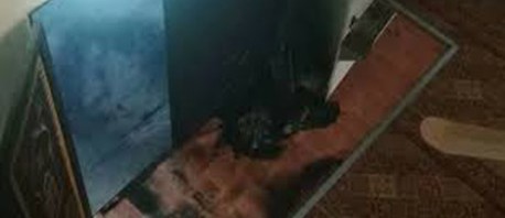 مستوطنون يضرمون النار بمسجد جنوب نابلس