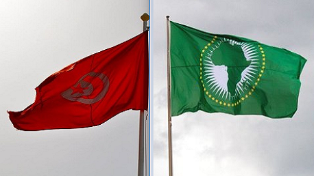 انتخاب تونس لعضوية اللجنة الإفريقية للقانون الدولي ولجنة المراجعين الخارجيين بالاتحاد الإفريقي