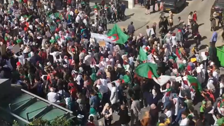 تظاهرات الجزائر