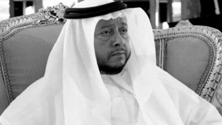 الشيخ سلطان بن زايد آل نهيان ممثل رئيس الدولة  في الإمارات