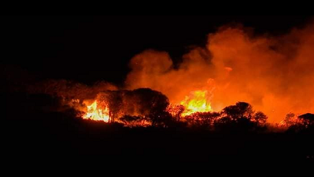 بنزرت: تواصل حريق جبل الناظور