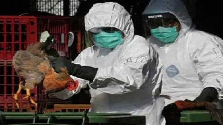 الصين تُسجّل أول إصابة بشرية بسلالة "إتش 10 إن 3" من إنفلونزا الطيور