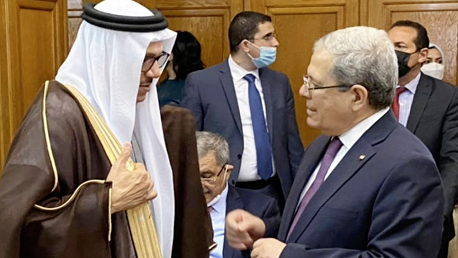 وزير الخارجية: الوضع الدولي الراهن يستدعي من الدول العربية توحيد الجهود 
