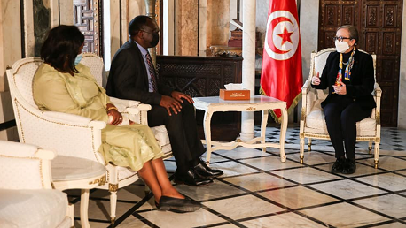 لقاء رئيسة الحكومة بوفد عن مفوضية الاتحاد الافريقي