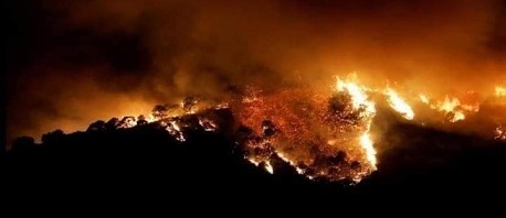 الجزائر ترسل طائرتين و20 شاحنة كبيرة للحماية المدنية لمساعدة تونس على إطفاء حريق جبل بوقرنين