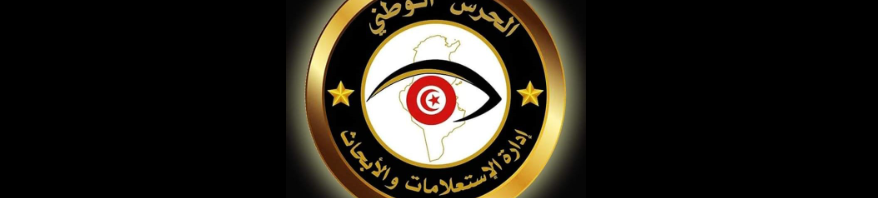 الإطاحة بشبكة مختصة في التصيد الإلكتروني يتزعمها سلفي