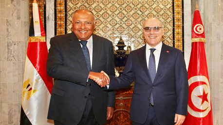 وزير خارجية تونس ومصر