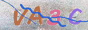 Image Anti-spam