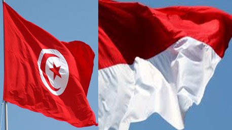تونس وأندونيسيا