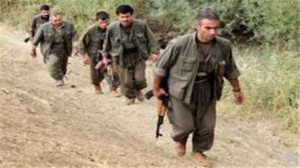 مقاتلي حزب العمال الكردستاني