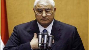  الرئيس المصري المؤقت عدلي منصور