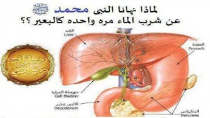 الحكمة من شرب الماء على ثلاثة مرات عند المسلمين