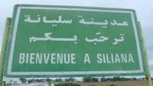 سليانة