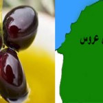 ولاية بن عروس