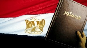 مصر: لجنة الخمسين تقرر إلغاء مجلس الشورى بالدستور الجديد