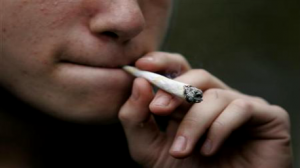 الأوروغواي تصدر قانونا يجيز إنتاج الماريجوانا واستهلاكها 