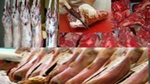 شركة اللحوم تونس