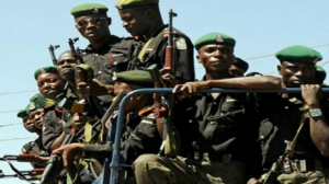 الجيش النيجيري يعلن قتل 50 متمردا متشددا وتدمير 20 عربة تابعة للمسلحين