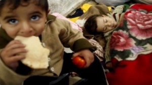 الأمم المتحدة: 3.4 مليون سوري وصلهم الغذاء في نوفمبر