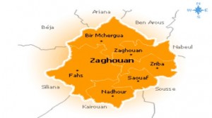 ولاية زغوان