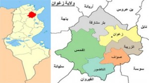 ولاية زغوان