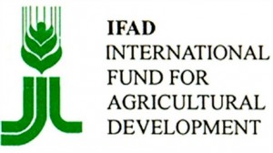 الصندوق الدولي للتنمية الزراعية