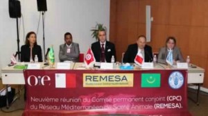 أشغال الاجتماع التاسع للدول الأعضاء في الشبكة المتوسطية للصحة الحيوانية REMESA