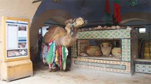 بئر-بورطة-القيروان