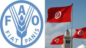 منظمة-الاغذية-والزراعة-الامريكية--وتونس