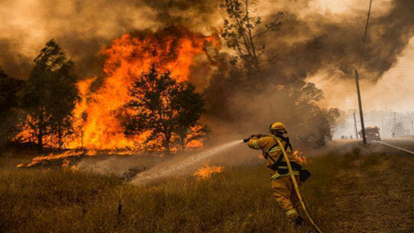 حرائق في غابات كاليفورنيا