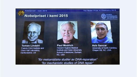 جائزة نوبل للكمياء 2015