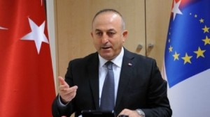 وزير الخارجية التركي 