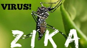 zika 